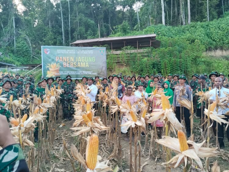 Panen Raya Jagung Yon TP 809 Sarmi, Polres Sarmi Dukung Penguatan Ketahanan Pangan