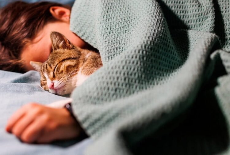 Amankah Tidur Bersama Kucing Kesayangan?