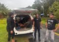 Sat Narkoba Polres Sarmi Amankan Dua Terduga Pengedar Ganja Di Mawesday